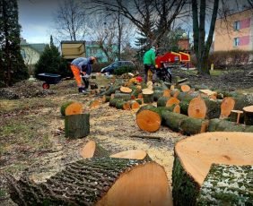 ezhtEFJdYGiR8GNLCbJdJzemm6Jk24mVWFoQJhZ8